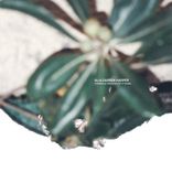 Slow Decline; a Space Within