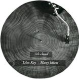 Portada para "Many Idiots"