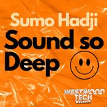 Artwork for "Sound so Deep"