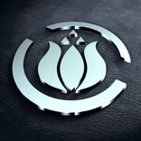 Artwork for "Over Me"