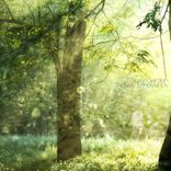 Artwork für "Sexy Garden"