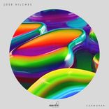 Artwork for "Cormorán"