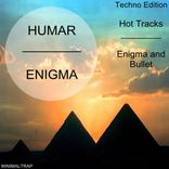 Artwork for "Enigma"