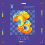 Artwork voor "Naranja"