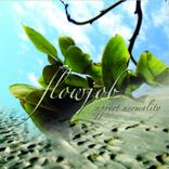 Artwork for "Support Normality"