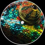 Artwork for "Kamaleon"