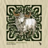 Artwork voor "Pagan Monks"