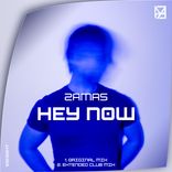 Artwork für "Hey Now"