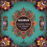 Artwork voor "Echoes from the Binary Core"