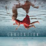 Artwork voor "Levitation 2"