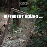 Artwork voor "Different Sound, Vol. 9"