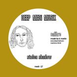 Artwork for "Stolen Shadow"