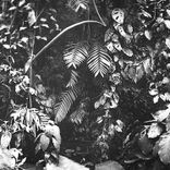 Panorama (Original Mix)