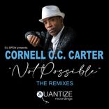 Artwork for "Not Possible (The Remixes)"
