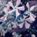 Artwork for "Starry Night Ep"