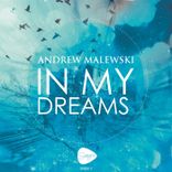 Artwork for "In My Dreams"