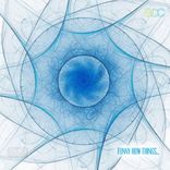 Artwork für "Funny How Things..."