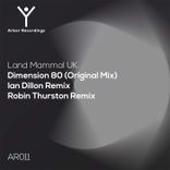 Portada para "Dimension 80"