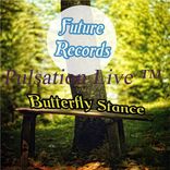 Artwork for "Butterfly Stance"