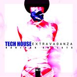 Artwork for "Tech House Extravaganza, Vol. 2"
