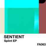 Artwork for "Splint EP"