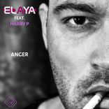 Artwork voor "Anger"