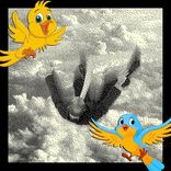 Portada para "Todd Edwards Falling Down the Stairs"