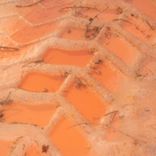 Artwork for "Stone Diviner"