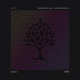 Artwork for "Passenger"