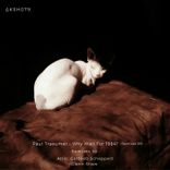 Panic Now and Avoid the Rush