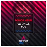 Artwork voor "Wanting You"