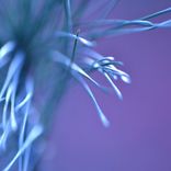 Artwork for "Moving Through Illusions"