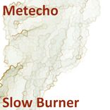 Artwork for "Slow Burner"