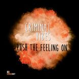 Artwork voor "Push the Feeling On"