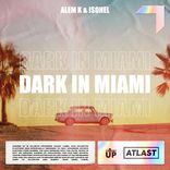 Artwork for "Dark in Miami"