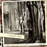 Artwork for "The Lysergic Urges"