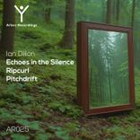 Artwork voor "Echoes in the Silence"