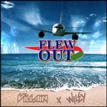 Portada para "Flew Out"