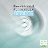 Artwork for "Shades"