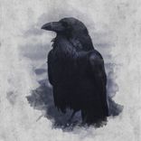 Raven