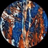 Artwork für "Natriumcyclamat EP"