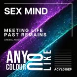 Artwork voor "Meeting Life"