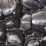 Portada para "Carara _Preset"