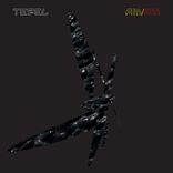 Portada para "Am / Pm"