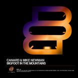 Bigfoot In The Mountains