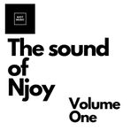 Artwork for "The Sound of Njoy volume One"