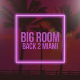 Artwork for "Big Room: Back 2 Miami"