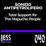 Artwork voor "Total Support For The Mapuche People (Daniele Soriani Deep House Remix)"
