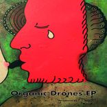 Artwork voor "Organic Drones"
