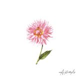 Artwork for "Palm Beach / Eros"